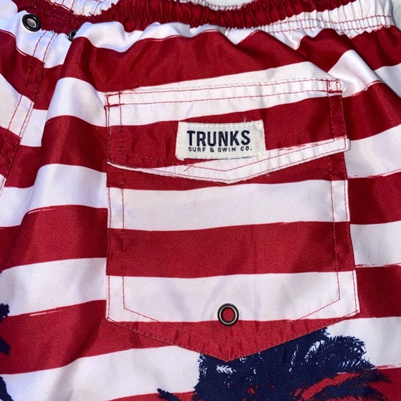 Trunks Surf & Swim Co Sano Swim Stripe Shorts- - Picture 9 of 16